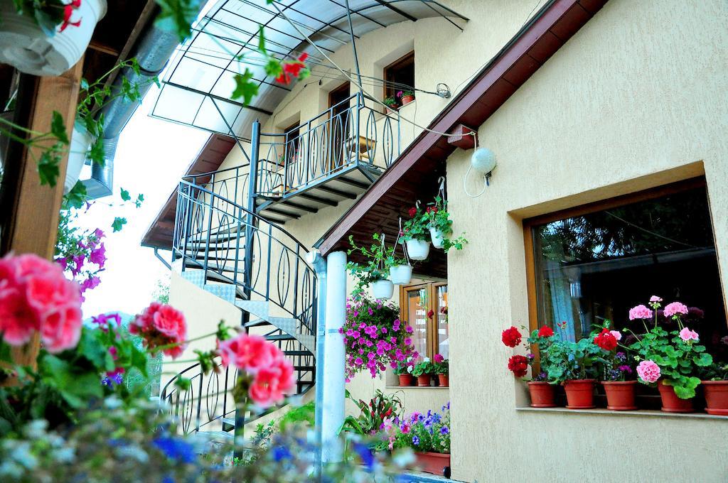 Hotel Casa Maria Gura Humorului Exterior foto