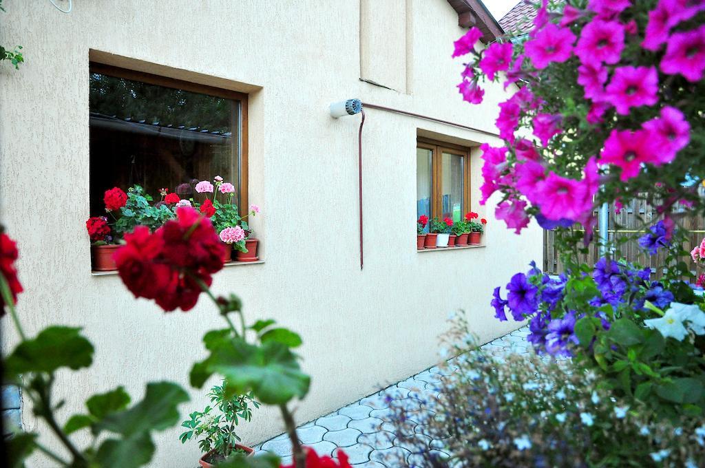 Hotel Casa Maria Gura Humorului Exterior foto